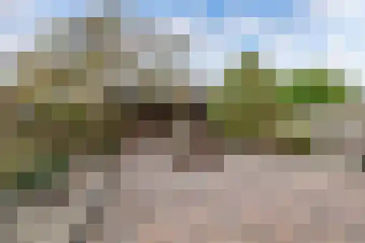 Hanebalken 45 Drachten thumbnail 43