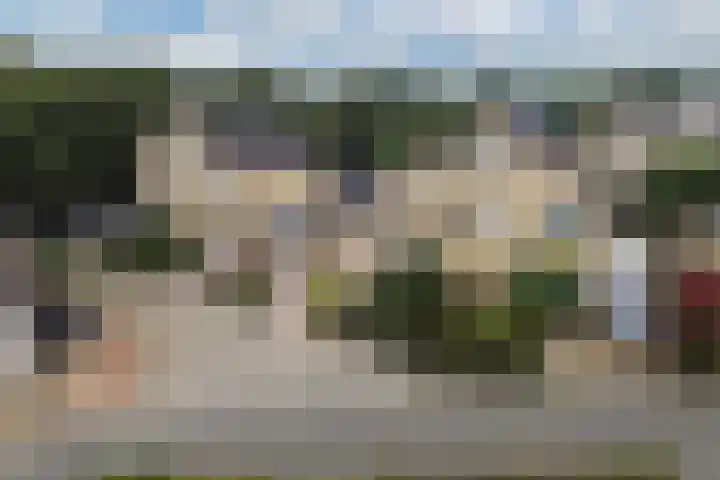 Hanebalken 45 Drachten thumbnail 5