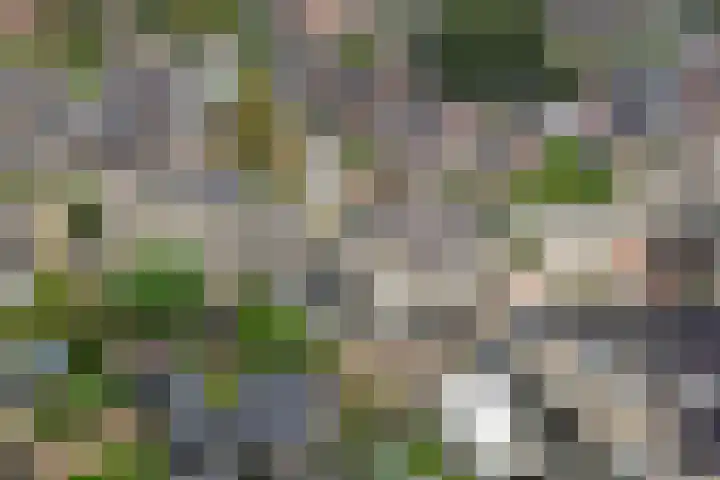Hanebalken 45 Drachten thumbnail 50