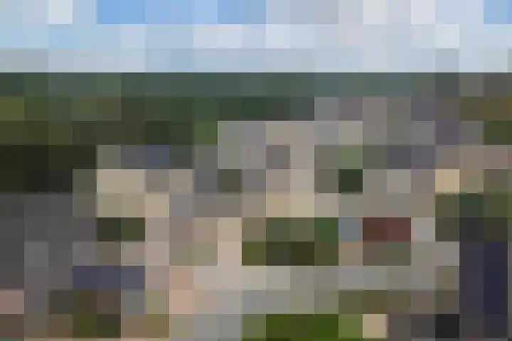 Hanebalken 45 Drachten thumbnail 51