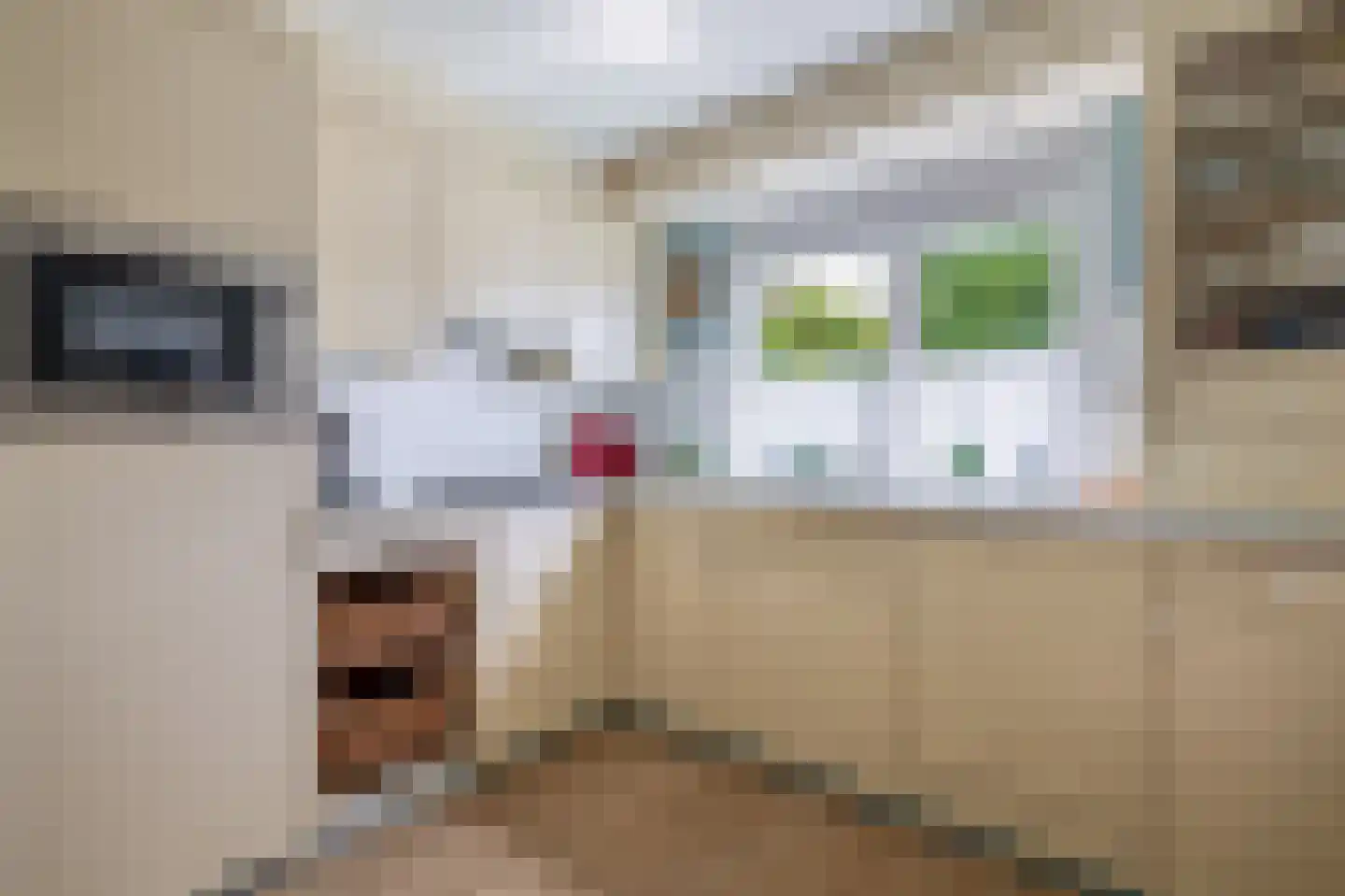 Hanebijtershoek 17 Gieten thumbnail 19