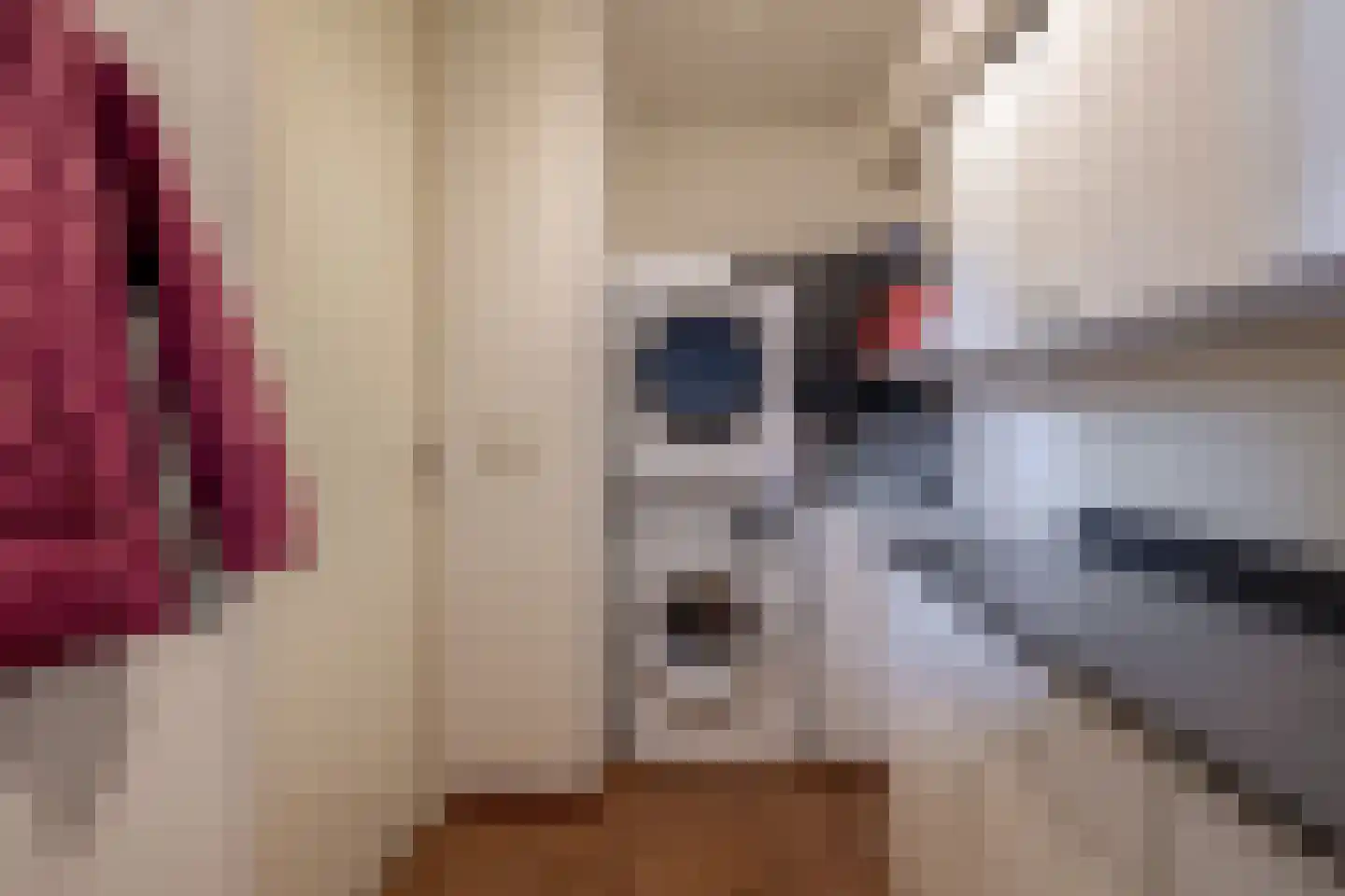 Hanebijtershoek 17 Gieten thumbnail 21