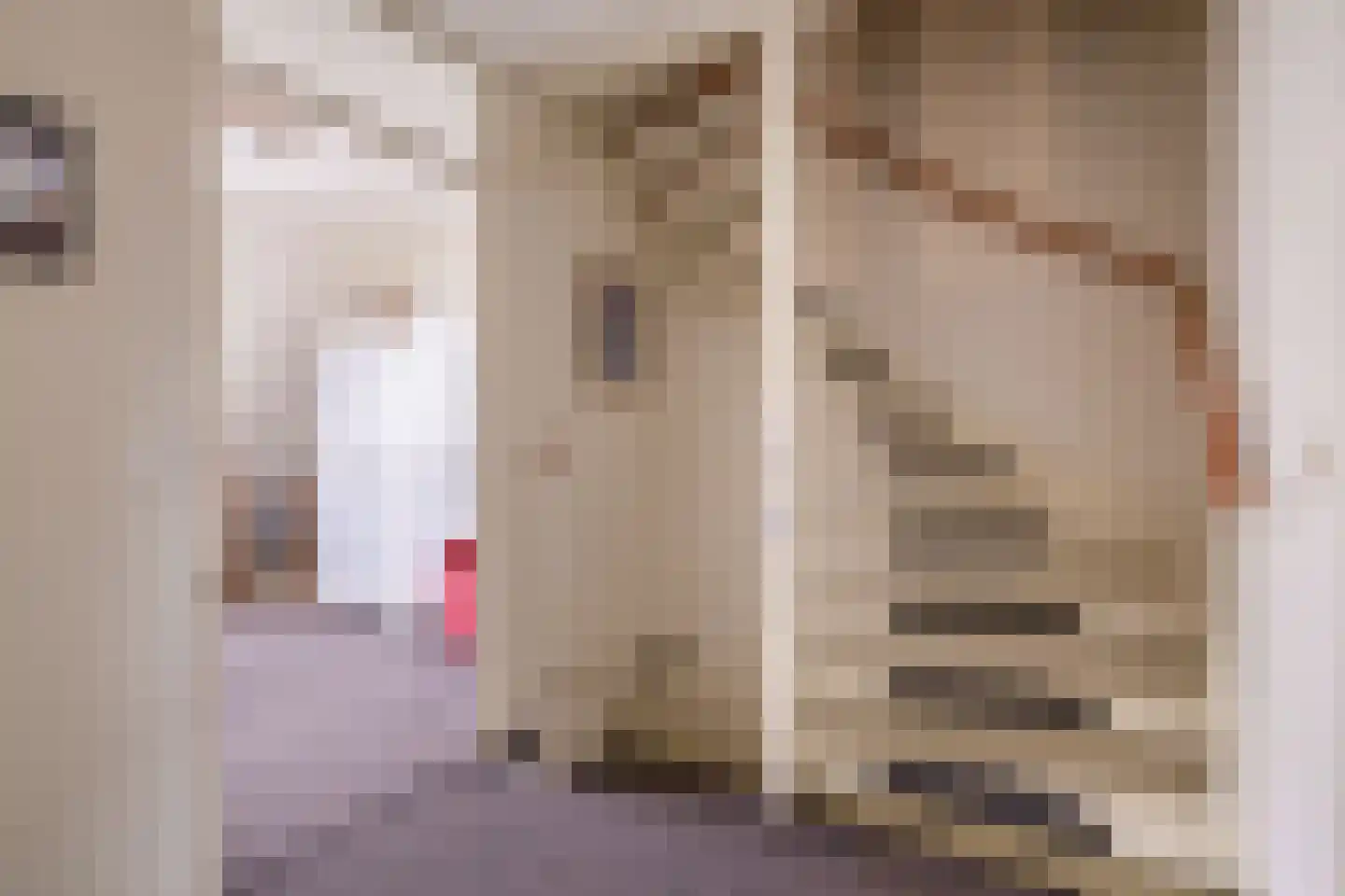 Hanebijtershoek 17 Gieten thumbnail 22