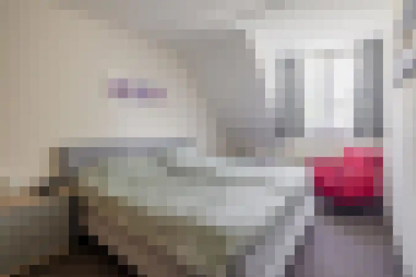 Hanebijtershoek 17 Gieten thumbnail 24