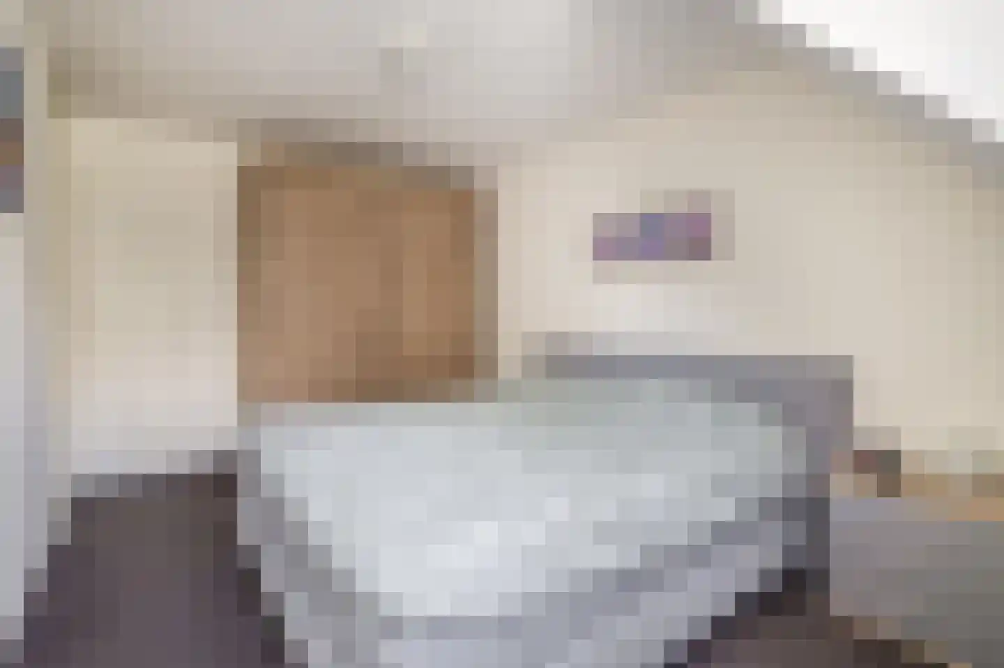 Hanebijtershoek 17 Gieten thumbnail 25