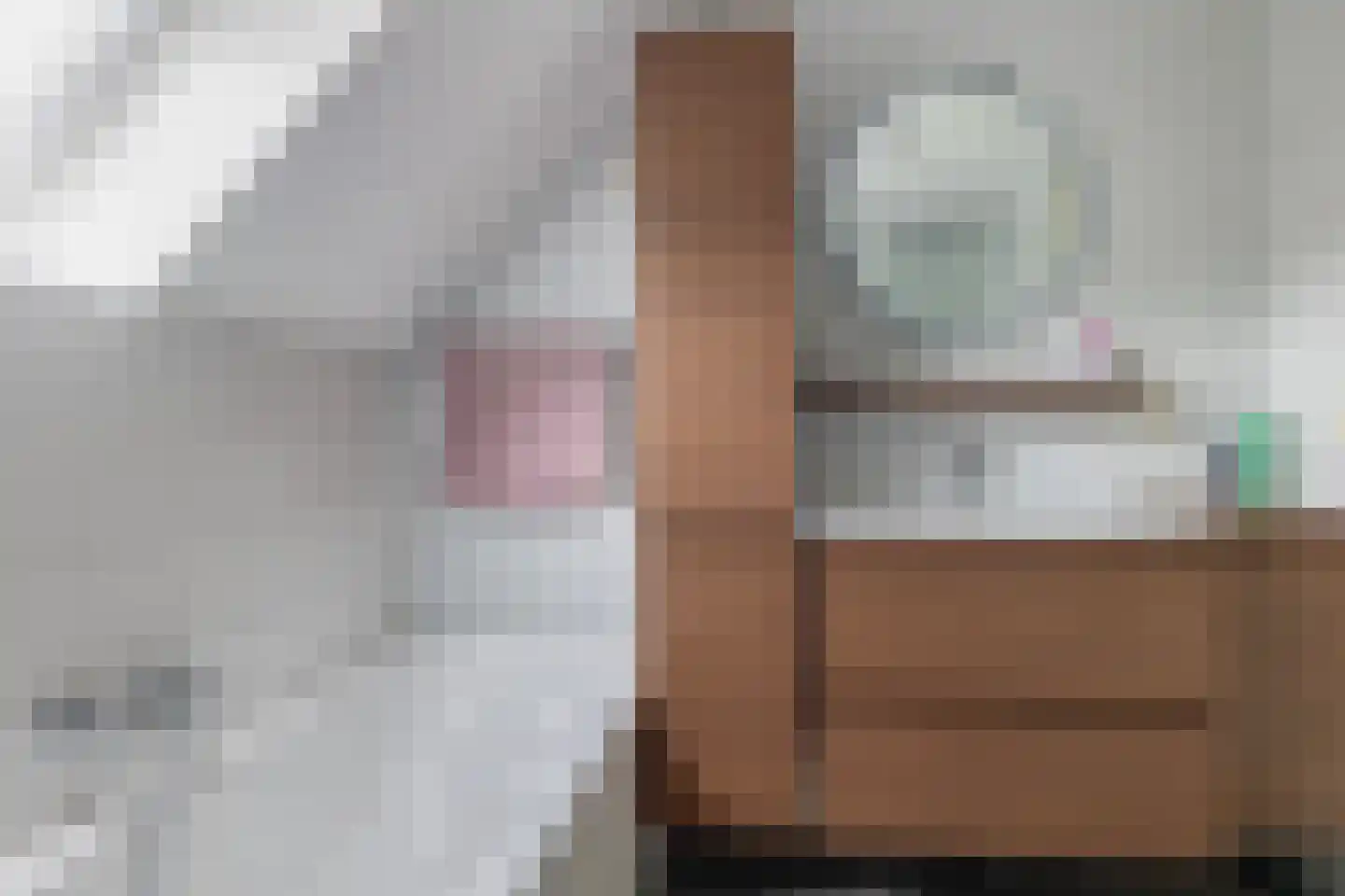 Hanebijtershoek 17 Gieten thumbnail 30