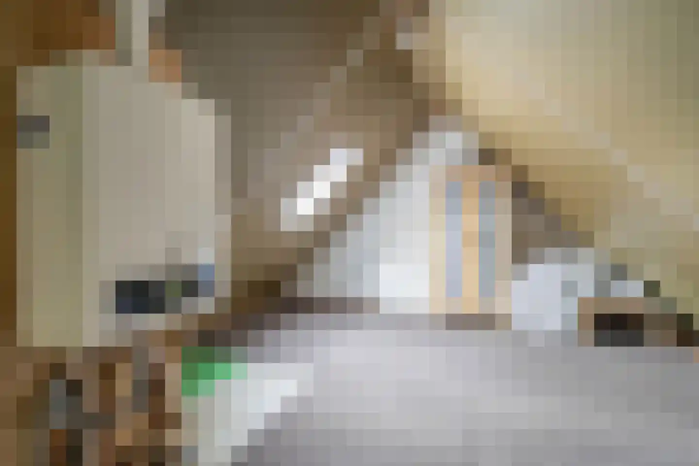 Hanebijtershoek 17 Gieten thumbnail 32