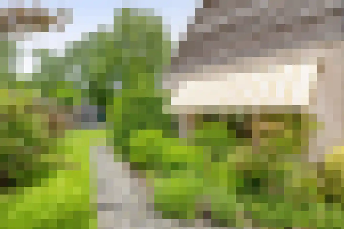 Hanebijtershoek 17 Gieten thumbnail 34