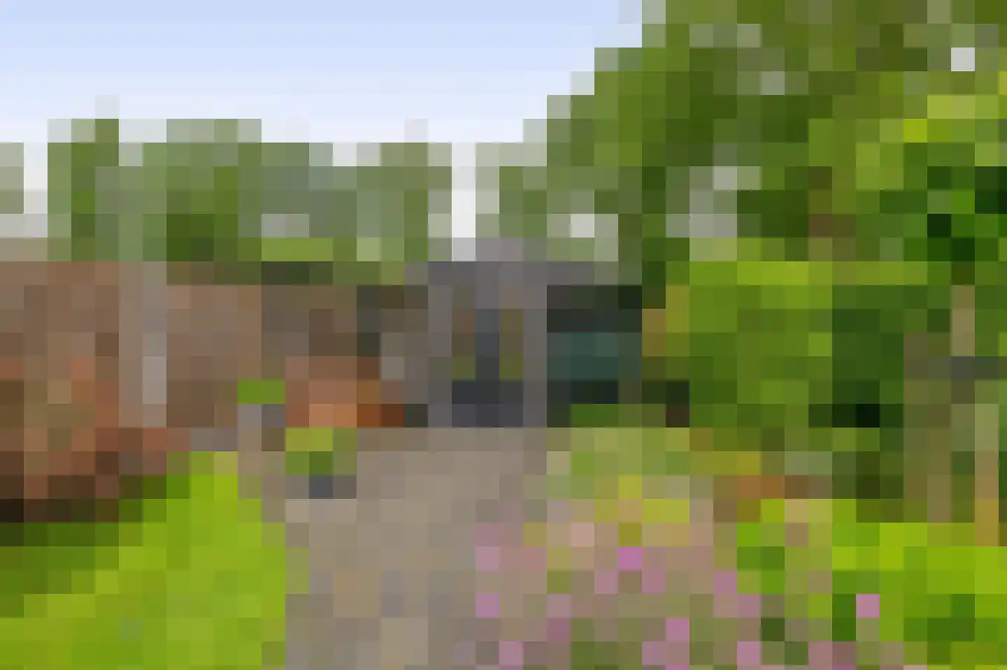 Hanebijtershoek 17 Gieten thumbnail 37
