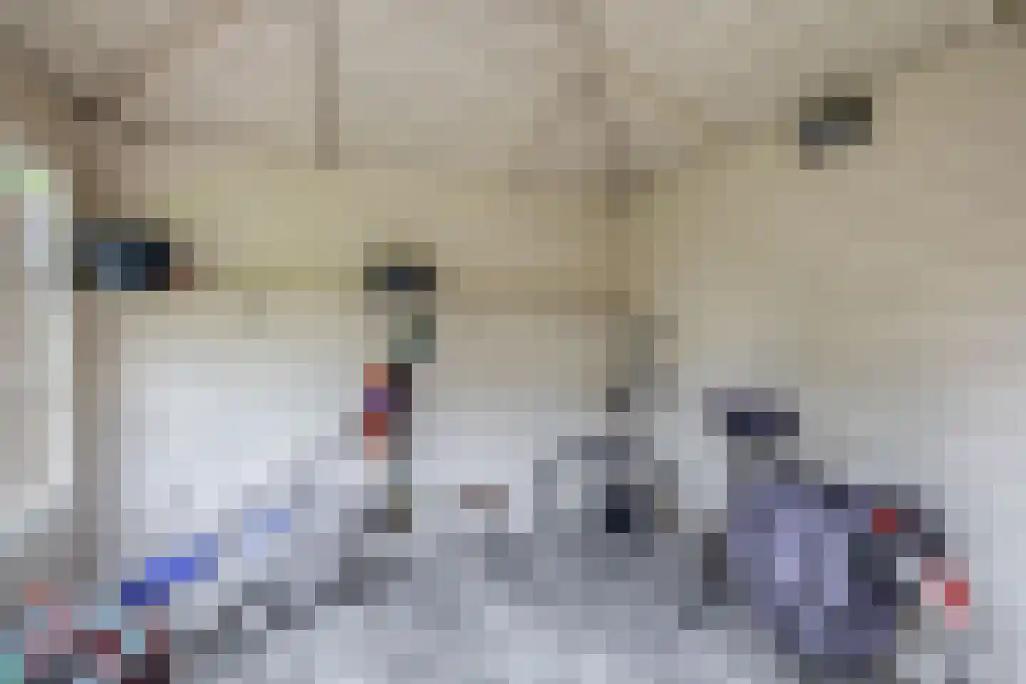 Hanebijtershoek 17 Gieten thumbnail 38
