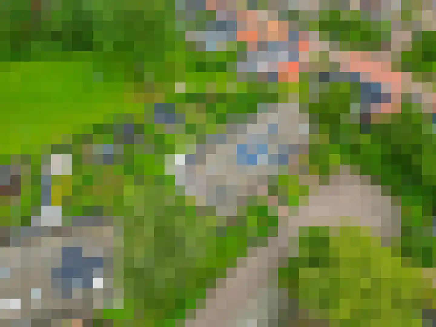 Hanebijtershoek 17 Gieten thumbnail 46
