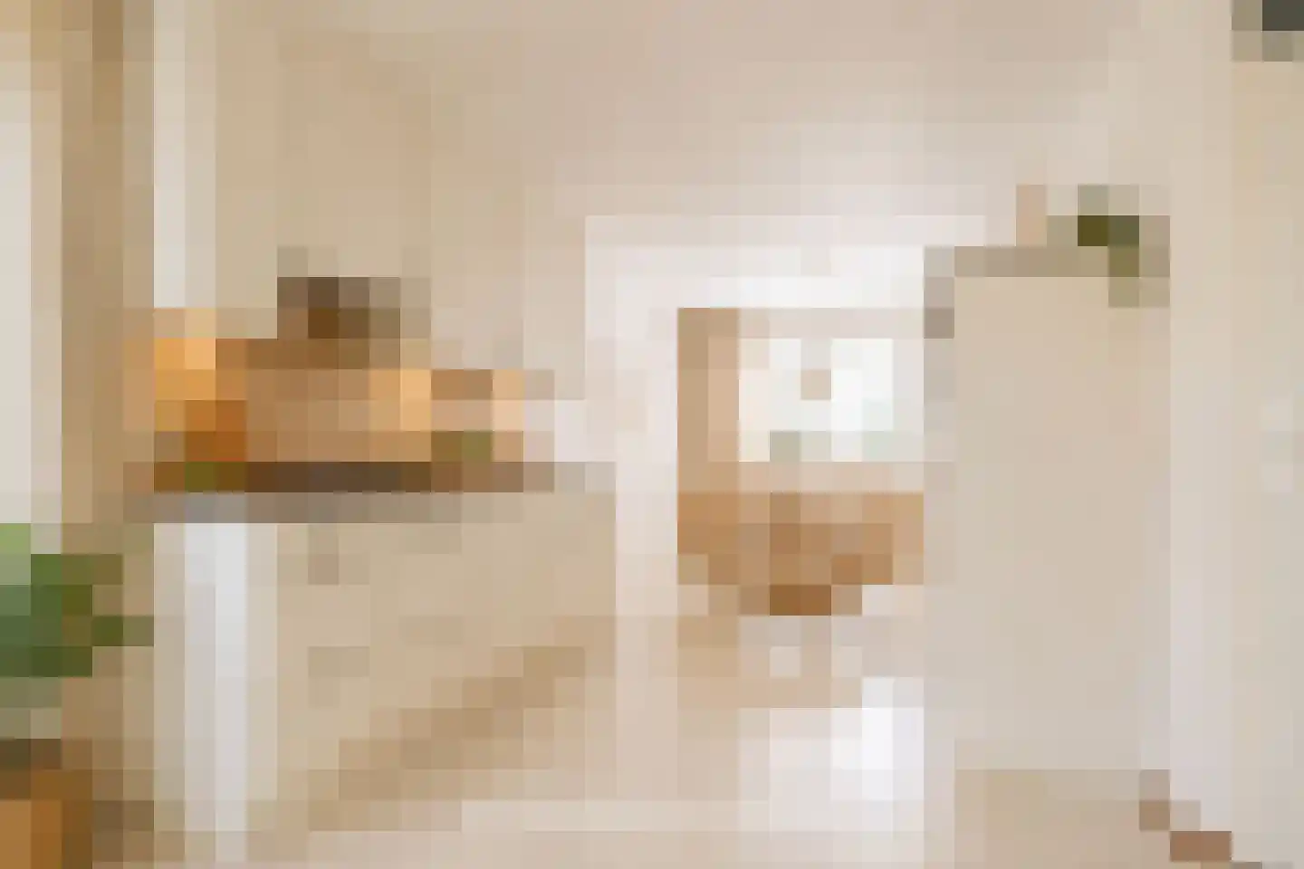 Hanebijtershoek 23 Gieten thumbnail 17