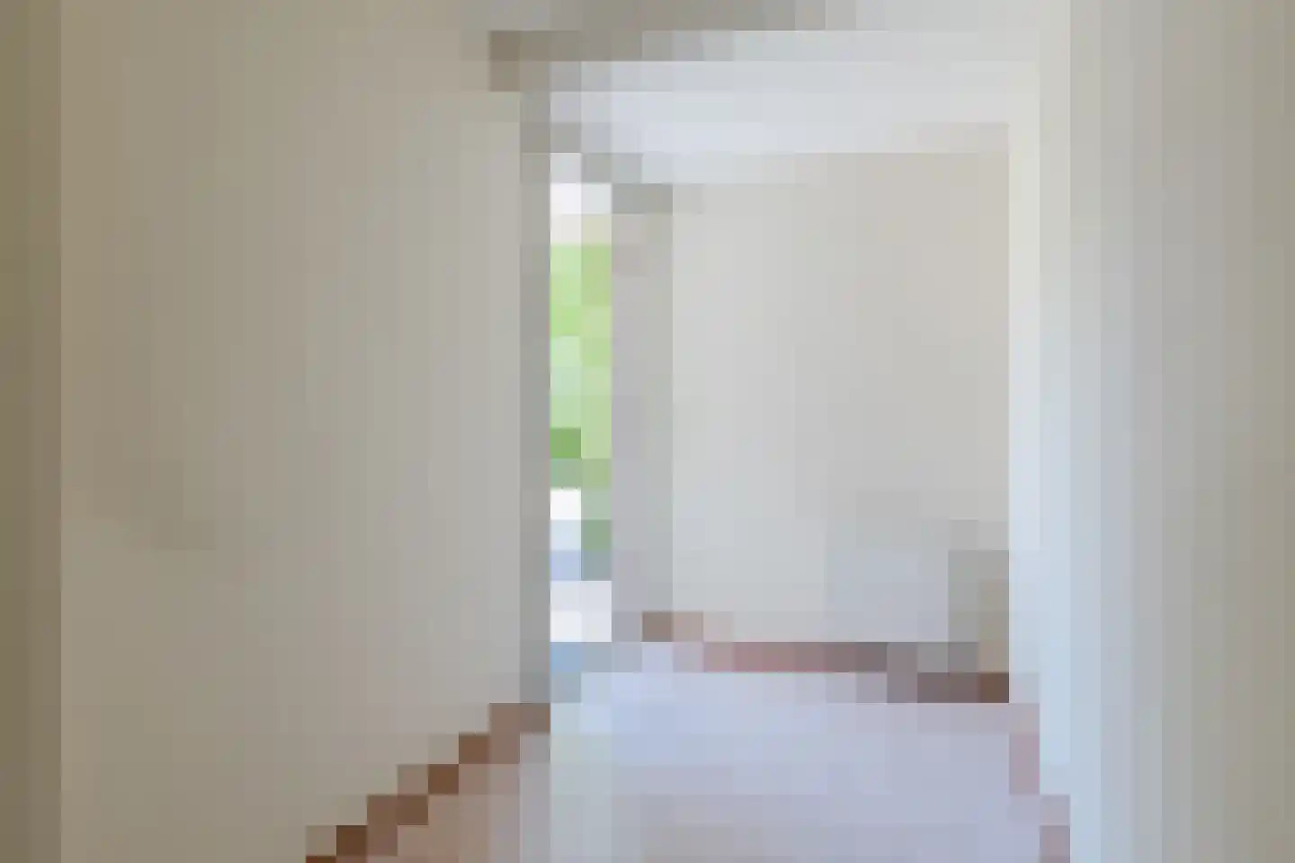 Hanebijtershoek 23 Gieten thumbnail 22