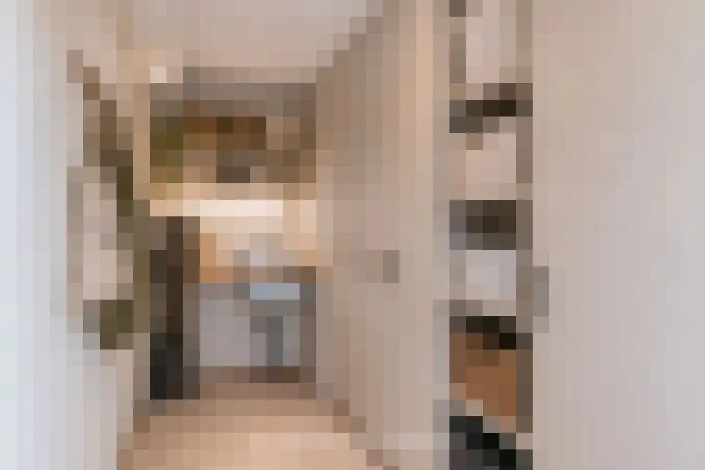 Hanebijtershoek 23 Gieten thumbnail 23