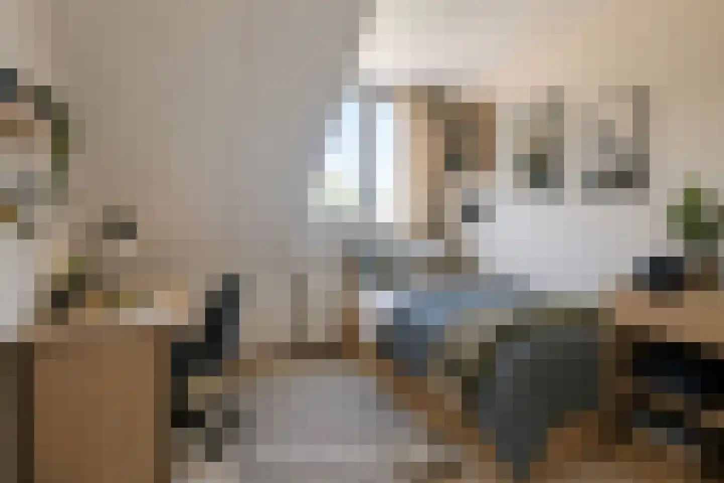 Hanebijtershoek 23 Gieten thumbnail 29