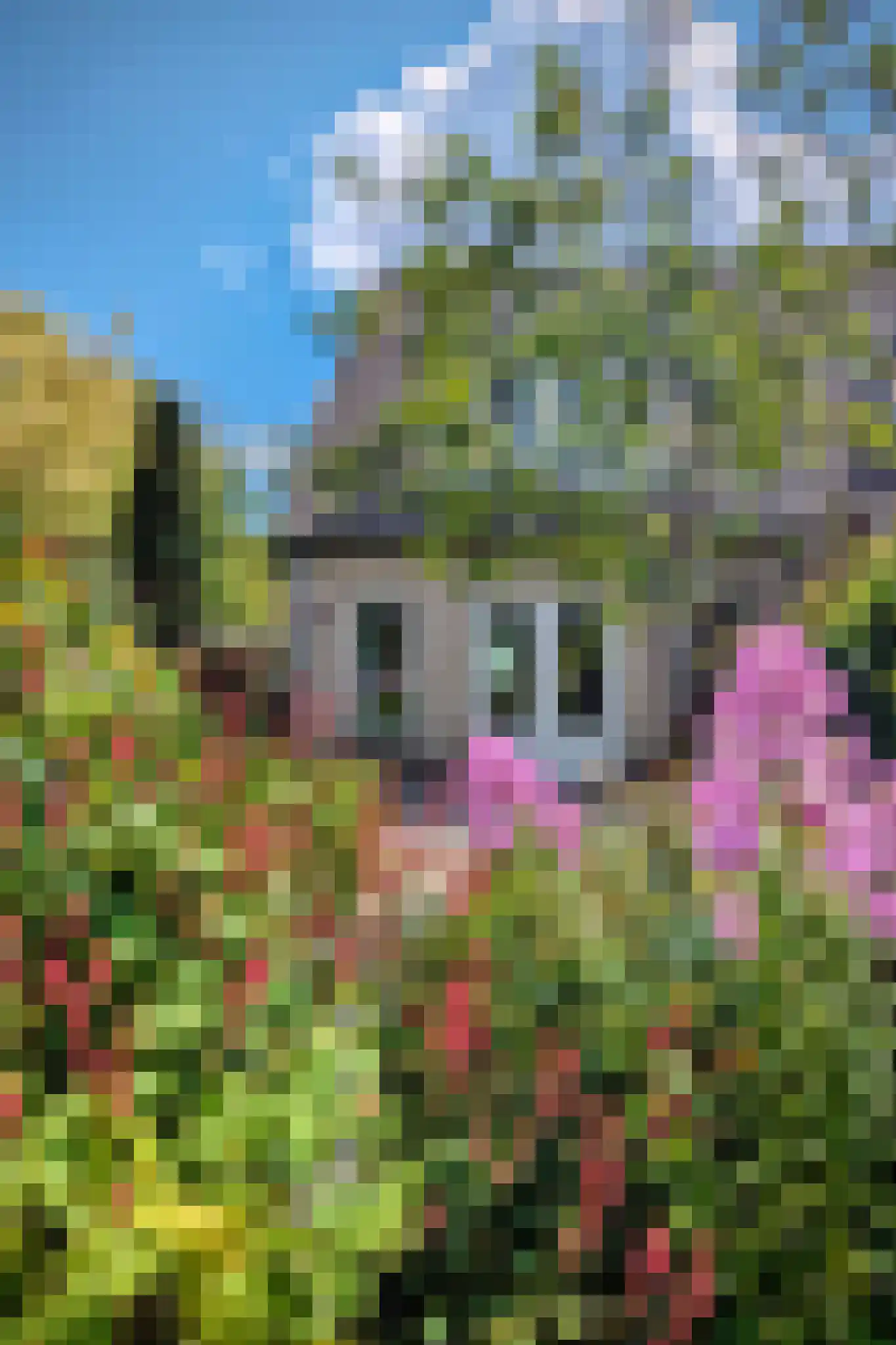 Hanebijtershoek 23 Gieten foto 3