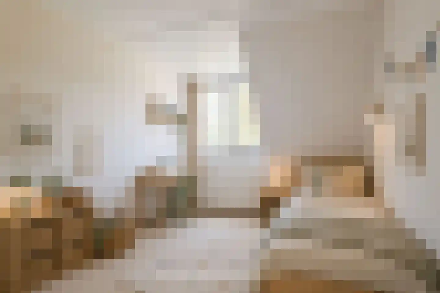 Hanebijtershoek 23 Gieten thumbnail 33