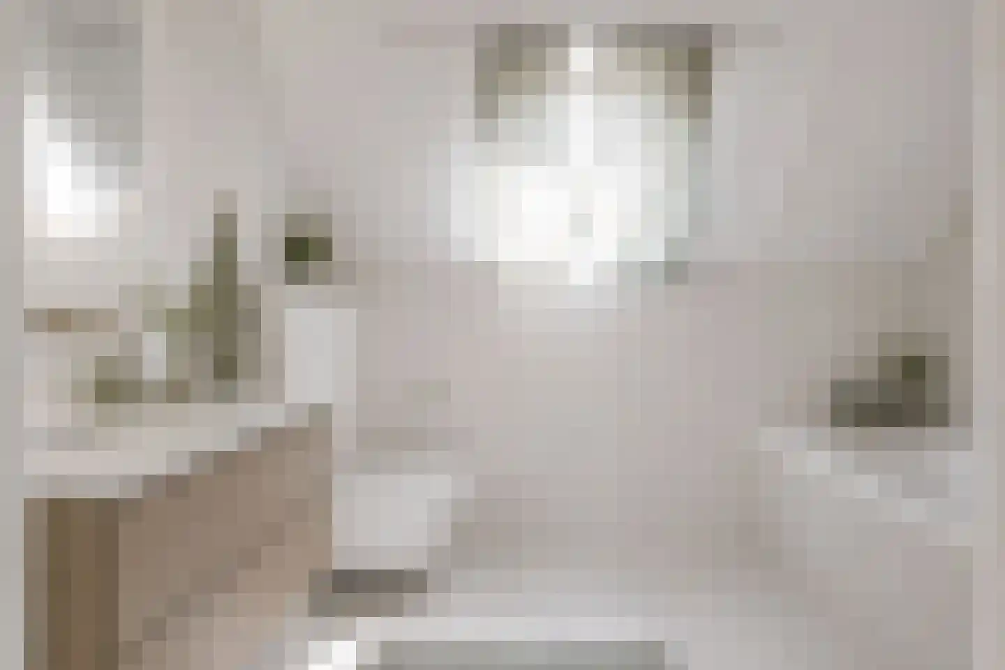 Hanebijtershoek 23 Gieten thumbnail 34