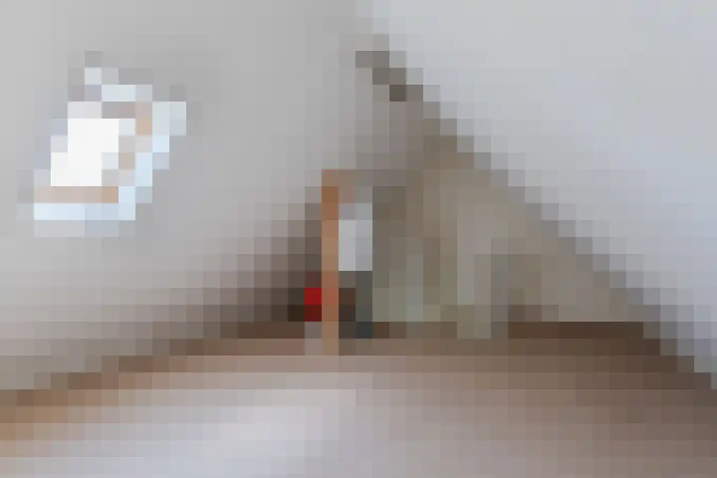 Hanebijtershoek 23 Gieten thumbnail 38