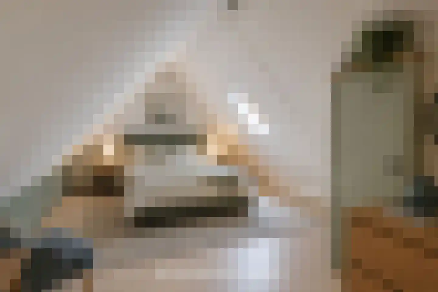 Hanebijtershoek 23 Gieten thumbnail 39