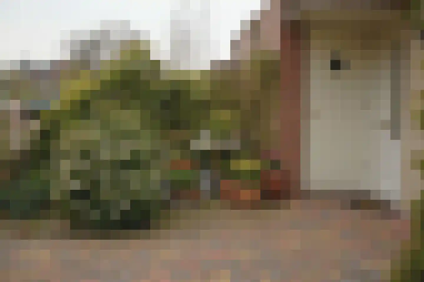 Hanebijtershoek 23 Gieten thumbnail 4