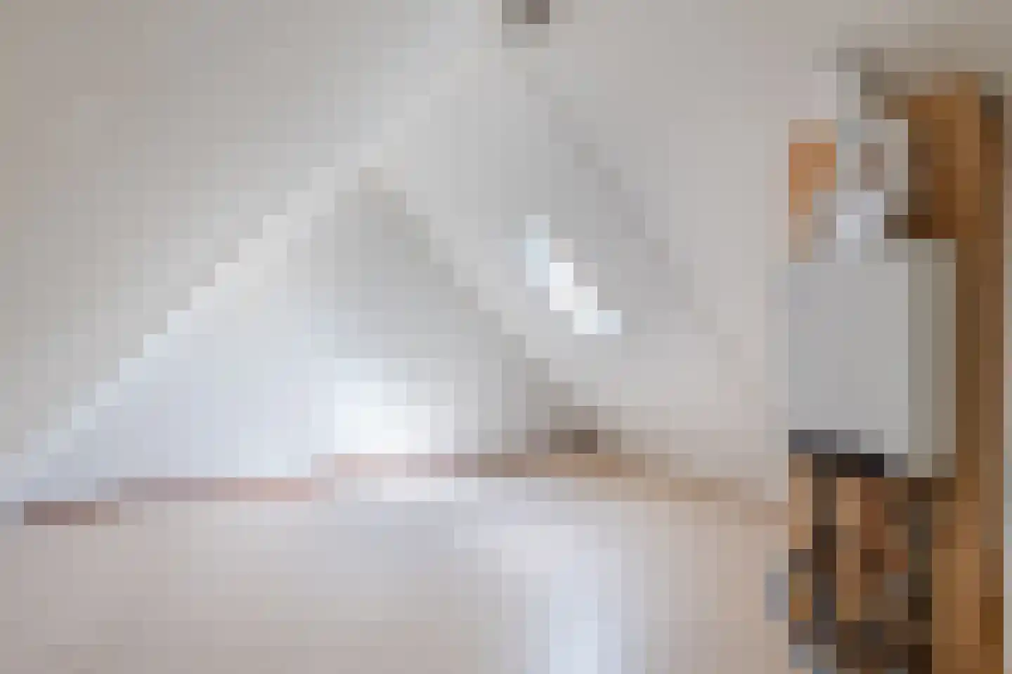 Hanebijtershoek 23 Gieten thumbnail 40