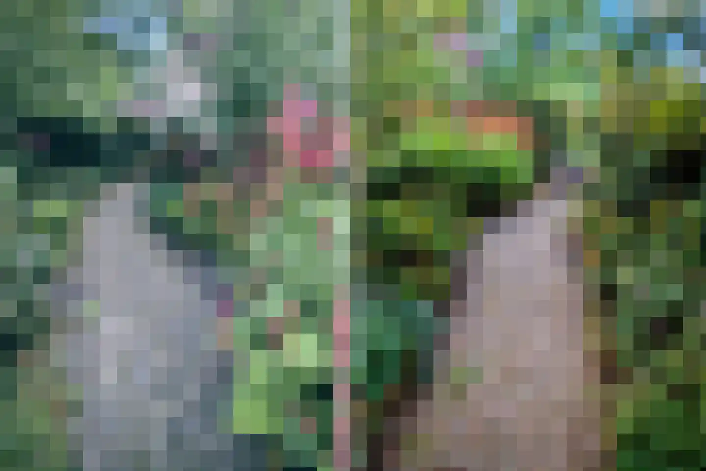 Hanebijtershoek 23 Gieten thumbnail 41