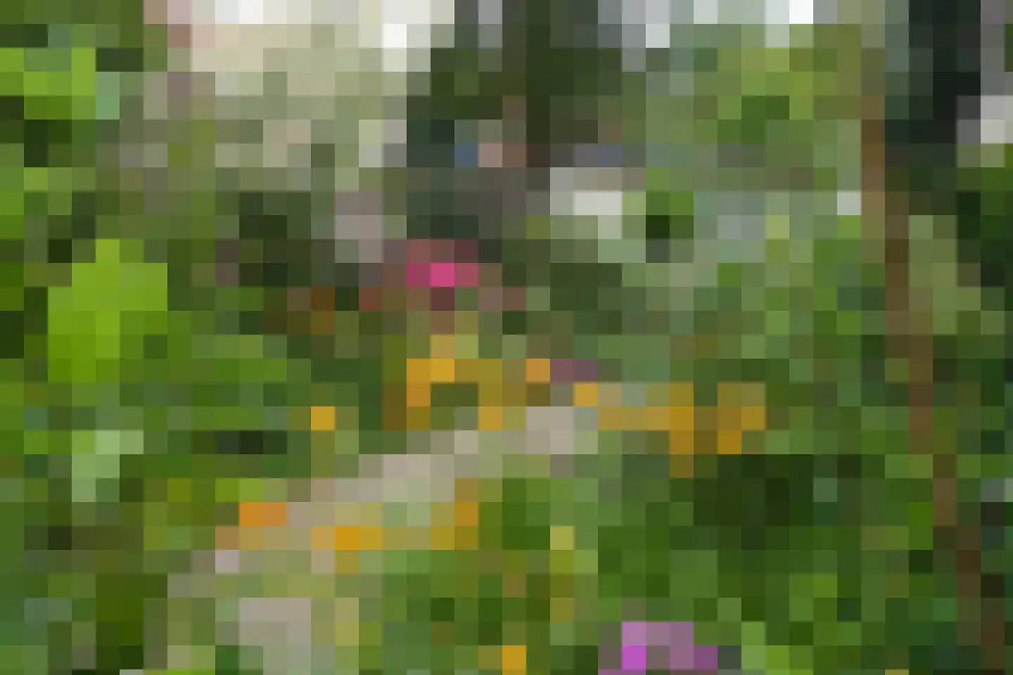 Hanebijtershoek 23 Gieten thumbnail 42