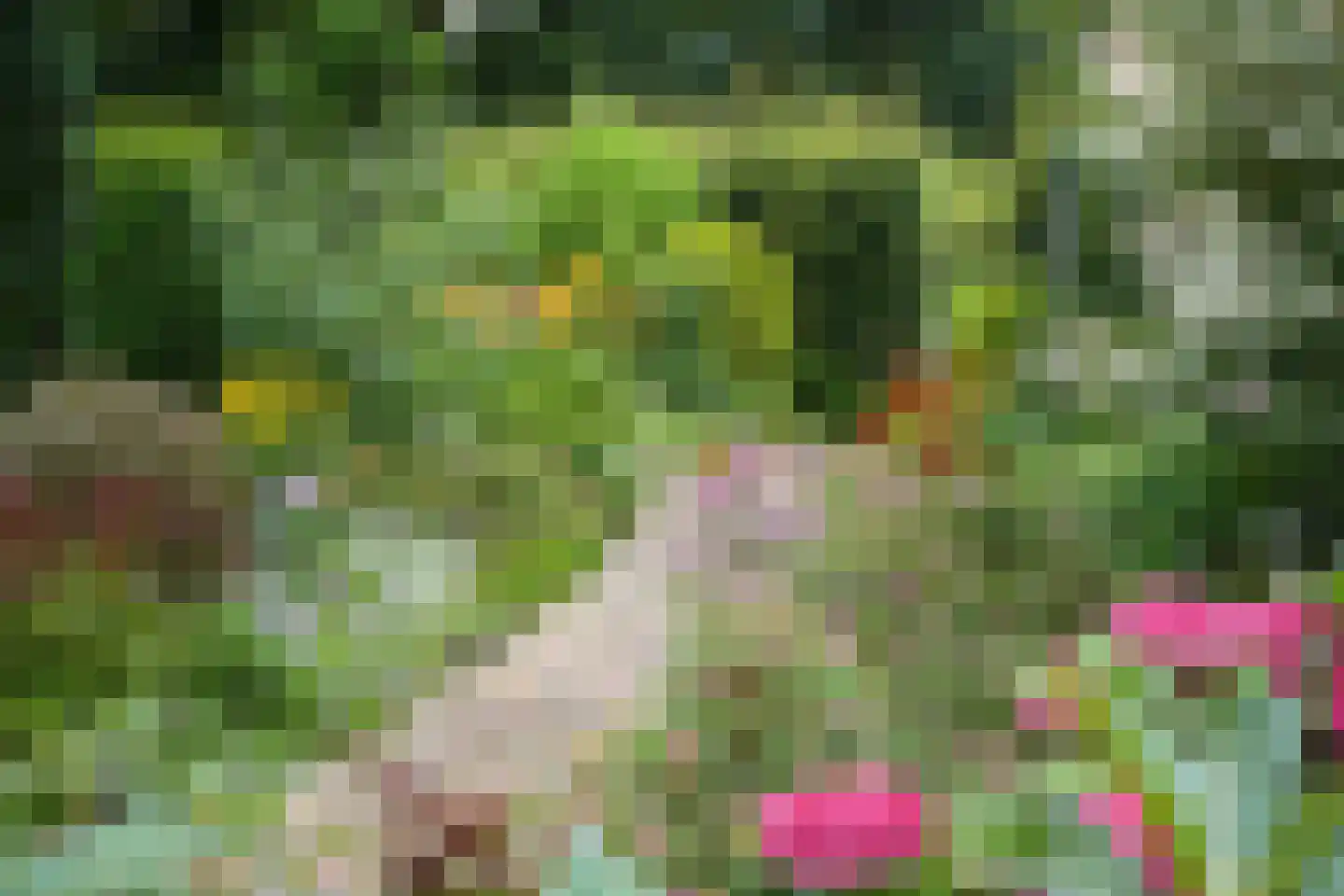 Hanebijtershoek 23 Gieten thumbnail 43