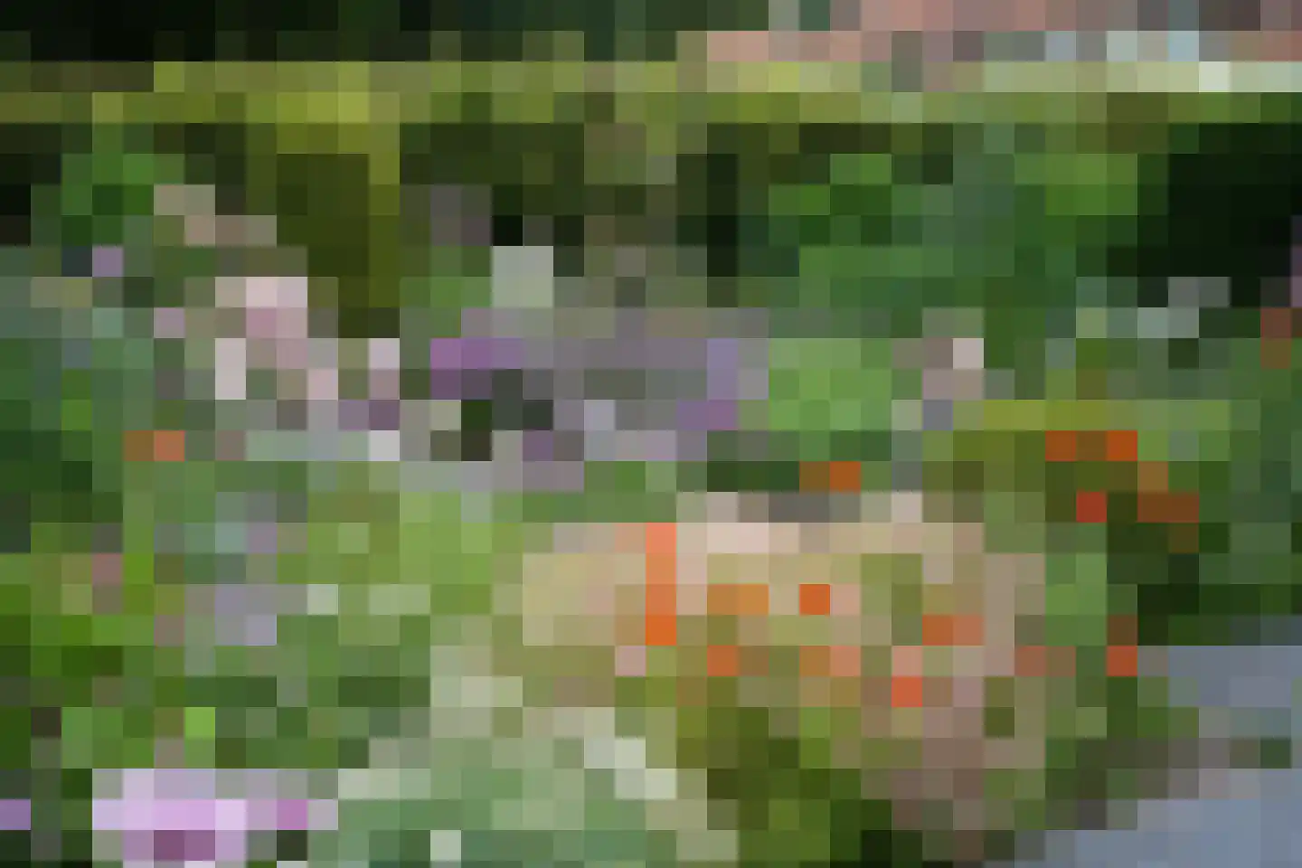 Hanebijtershoek 23 Gieten thumbnail 44