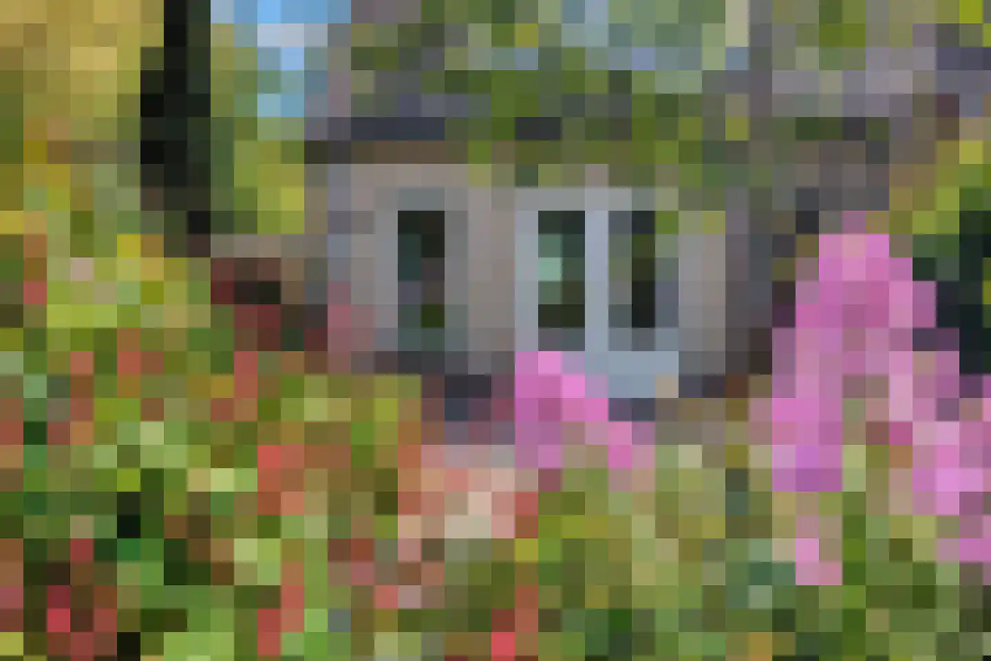 Hanebijtershoek 23 Gieten thumbnail 46