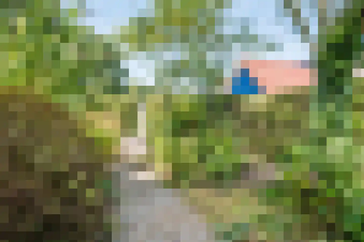 Hanebijtershoek 23 Gieten thumbnail 48