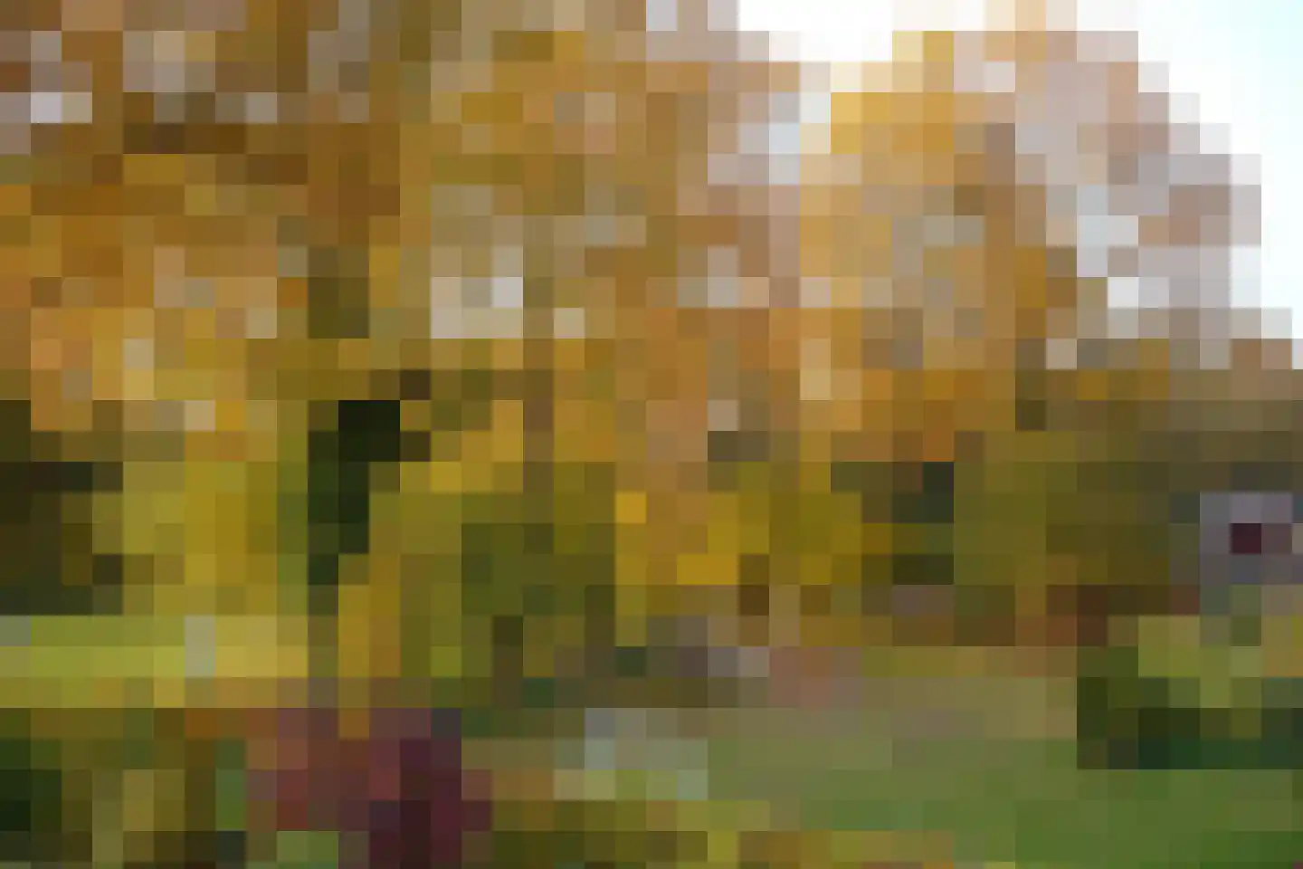 Hanebijtershoek 23 Gieten thumbnail 50