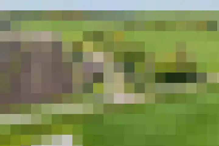 Hanebuert 4 Tijnje thumbnail 105