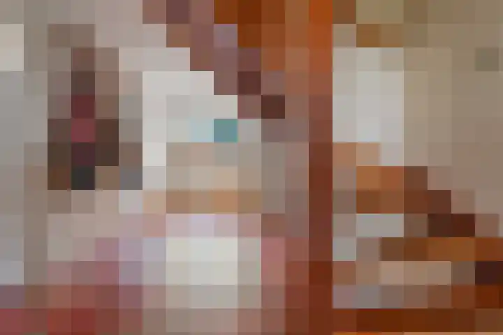 Hanebuert 4 Tijnje thumbnail 17