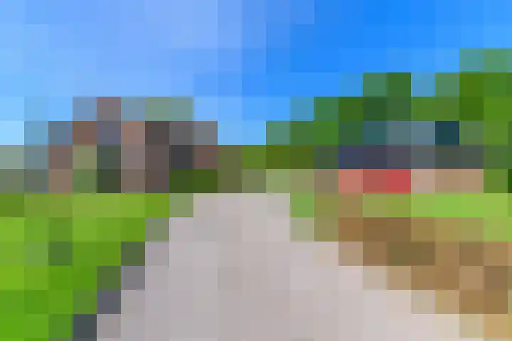 Hanebuert 4 Tijnje foto 2