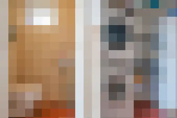 Hanebuert 4 Tijnje thumbnail 21