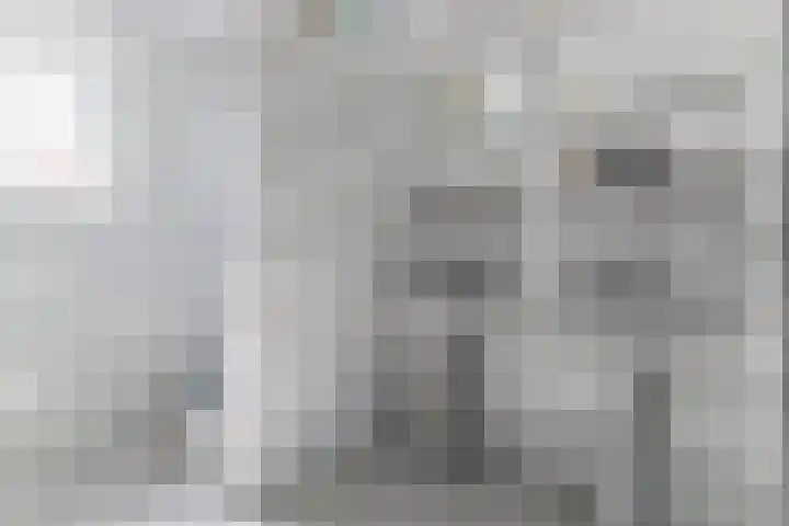 Hanebuert 4 Tijnje thumbnail 22