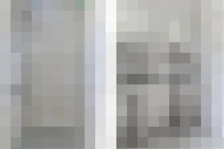 Hanebuert 4 Tijnje thumbnail 23