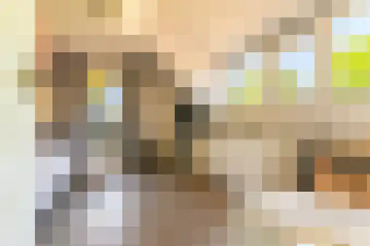 Hanebuert 4 Tijnje thumbnail 27