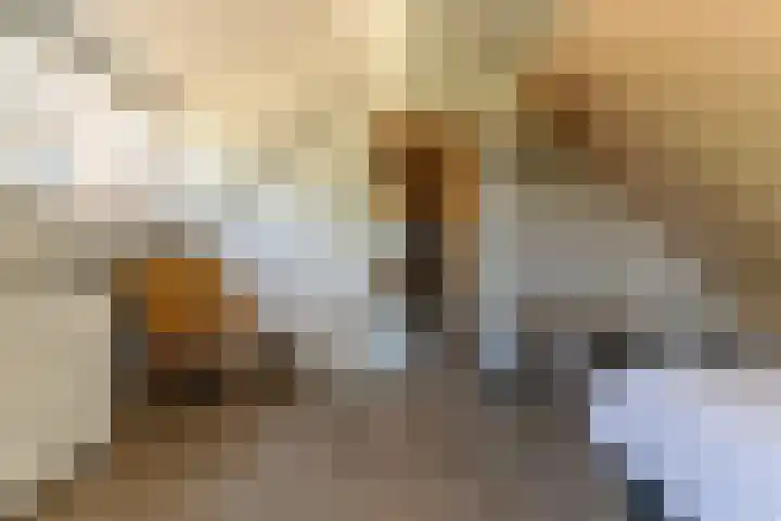 Hanebuert 4 Tijnje thumbnail 28