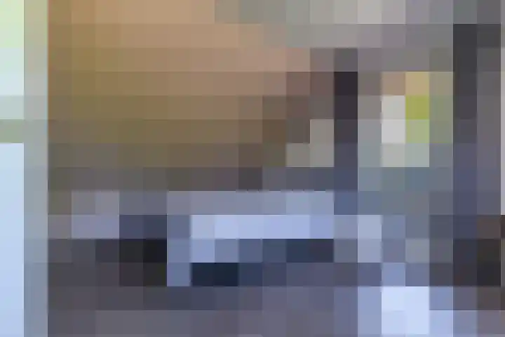 Hanebuert 4 Tijnje thumbnail 29