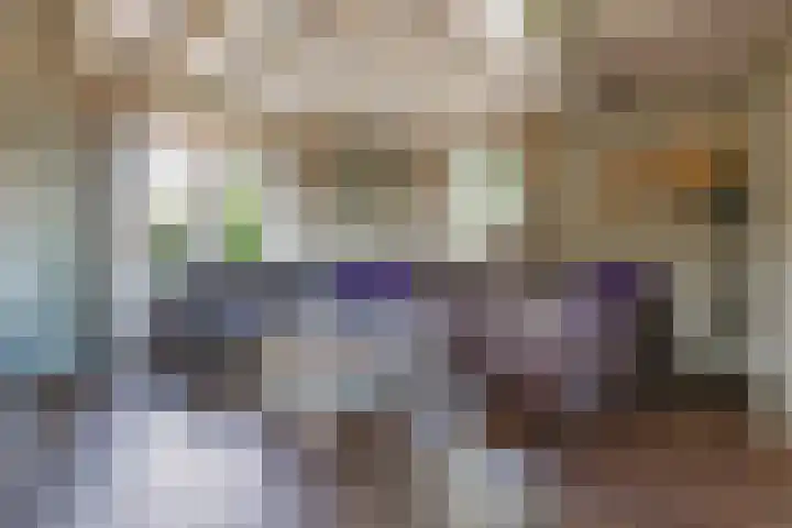 Hanebuert 4 Tijnje foto 3