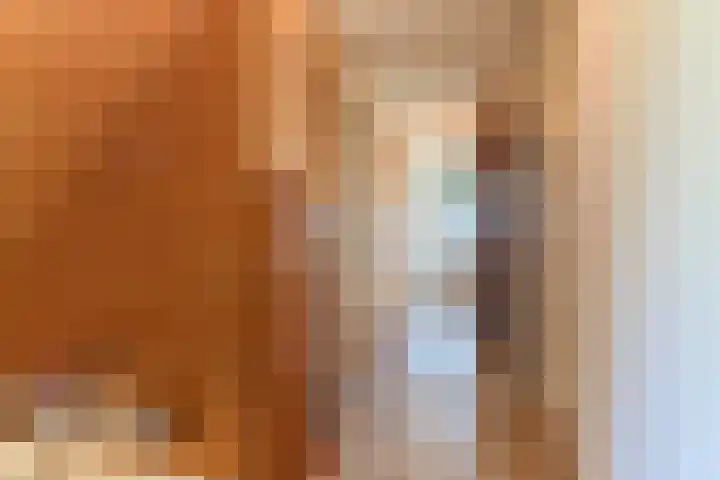 Hanebuert 4 Tijnje thumbnail 30