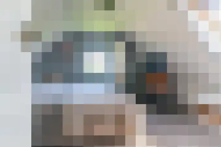 Hanebuert 4 Tijnje thumbnail 31