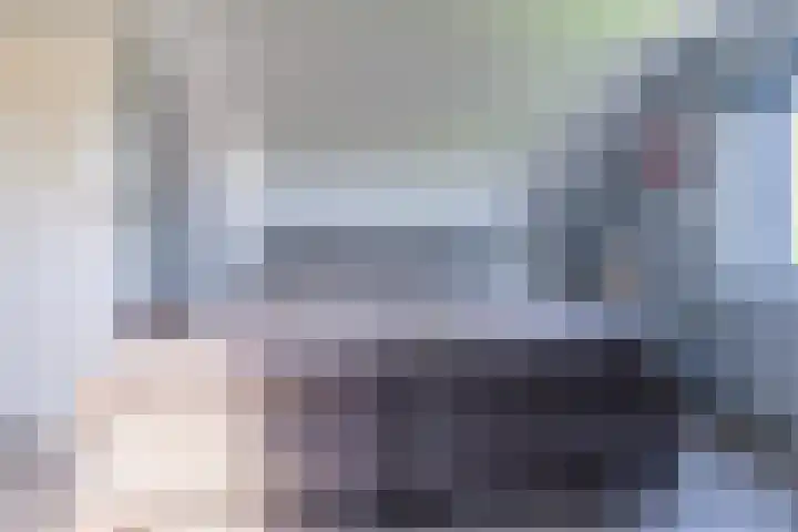 Hanebuert 4 Tijnje thumbnail 32