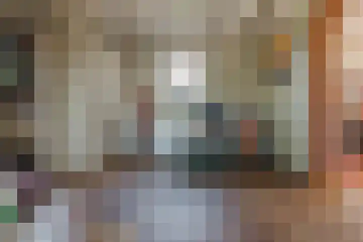 Hanebuert 4 Tijnje thumbnail 4