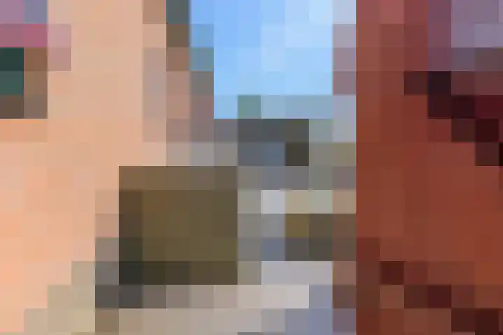 Hanebuert 4 Tijnje thumbnail 41