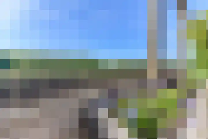 Hanebuert 4 Tijnje thumbnail 45