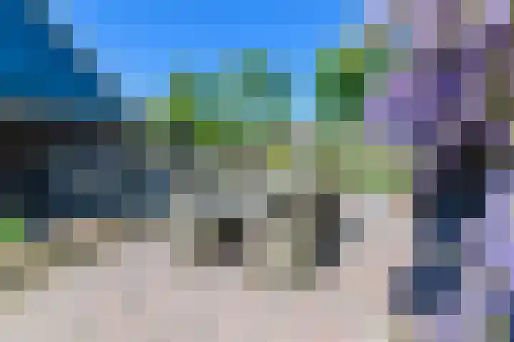 Hanebuert 4 Tijnje thumbnail 48